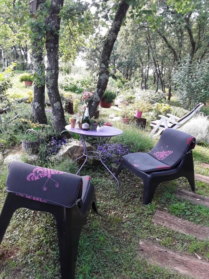 Apartments Bijou With Big Private Garden Near Umag Vilanija Kültér fotó